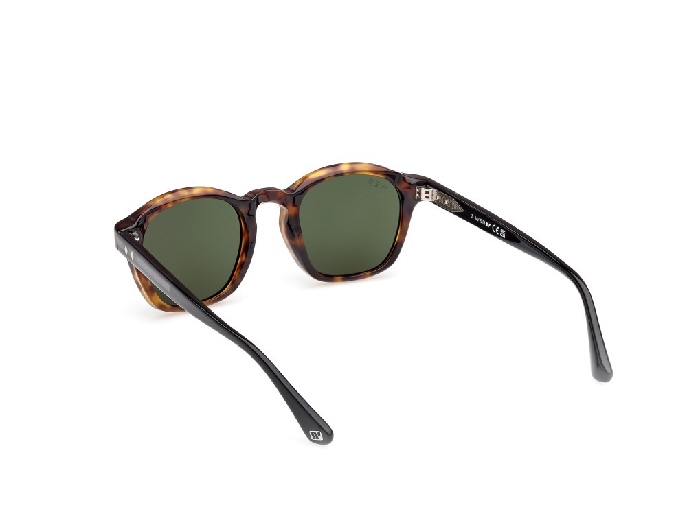 Sunglasses Web WE0384 (55N) color avana monocolore - nero lucido shape round lenses verde