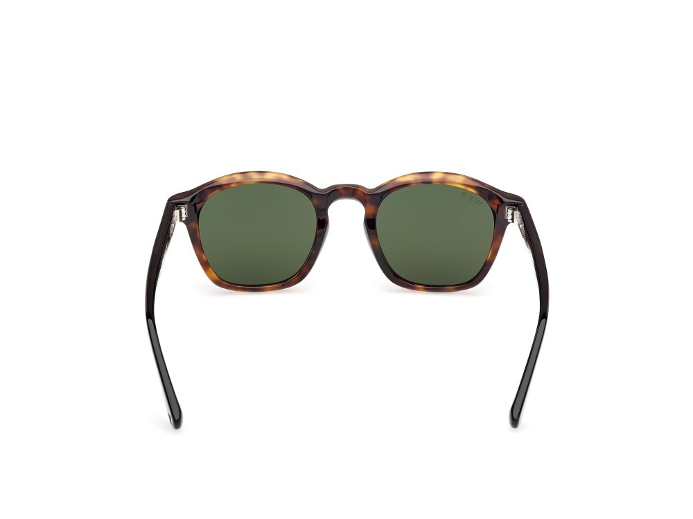 Sunglasses Web WE0384 (55N) color avana monocolore - nero lucido shape round lenses verde