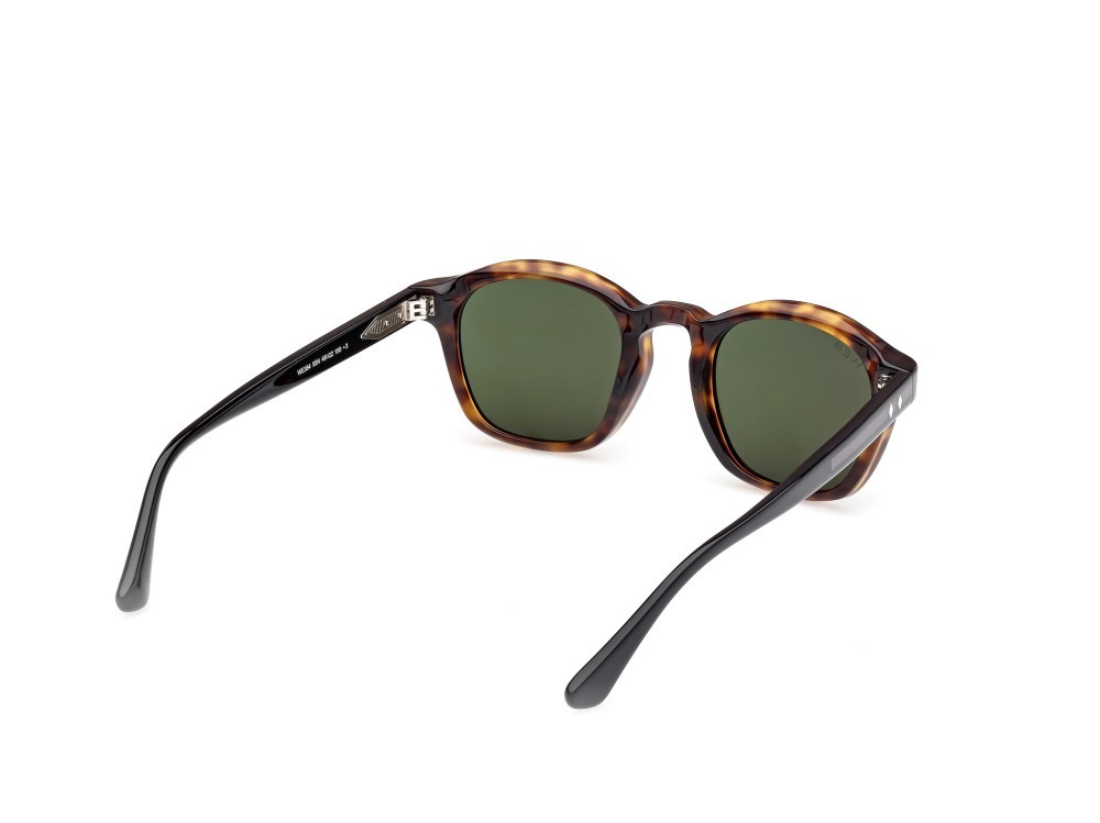 Sunglasses Web WE0384 (55N) color avana monocolore - nero lucido shape round lenses verde