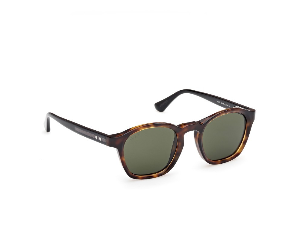 Sunglasses Web WE0384 (55N) color avana monocolore - nero lucido shape round lenses verde