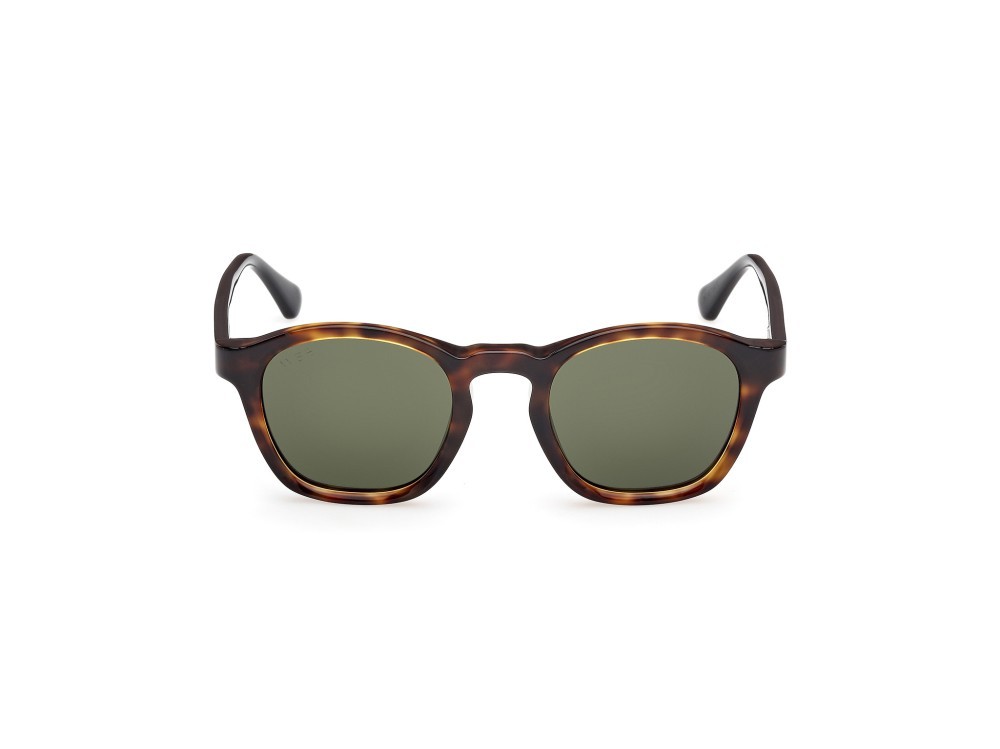 Sunglasses Web WE0384 (55N) color avana monocolore - nero lucido shape round lenses verde