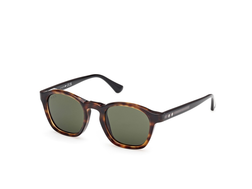 Sunglasses Web WE0384 (55N) color avana monocolore - nero lucido shape round lenses verde