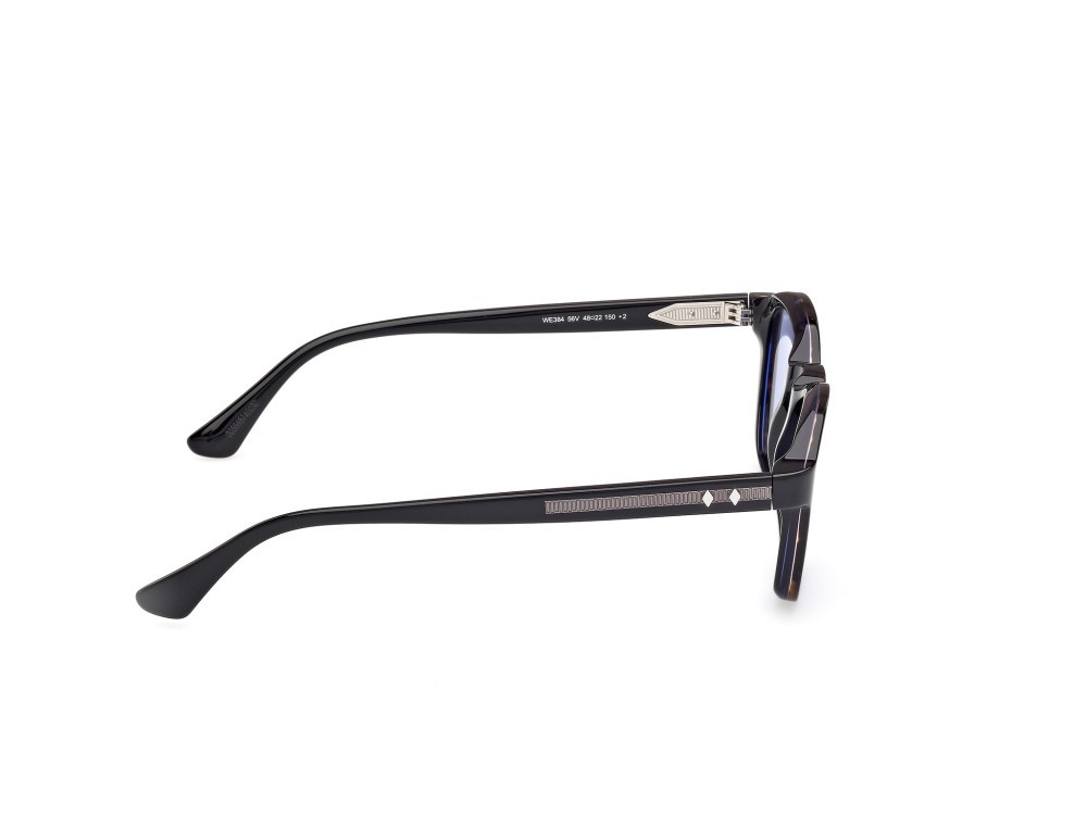 Sunglasses Web WE0384 (56V) color avana monocolore - nero lucido shape round lenses blu