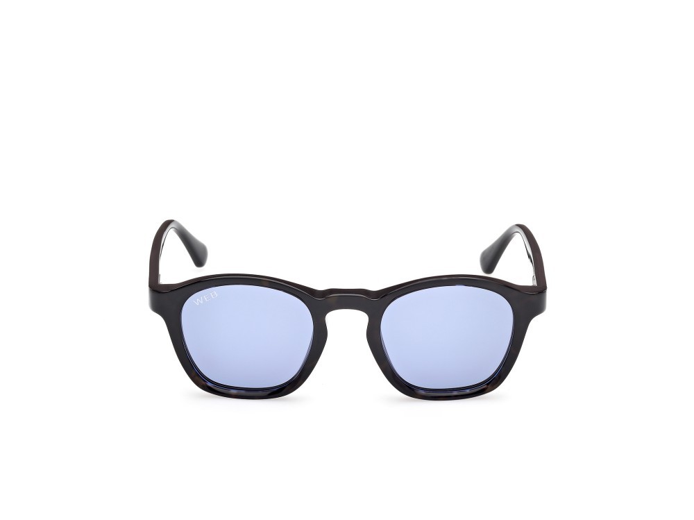 Sunglasses Web WE0384 (56V) color avana monocolore - nero lucido shape round lenses blu