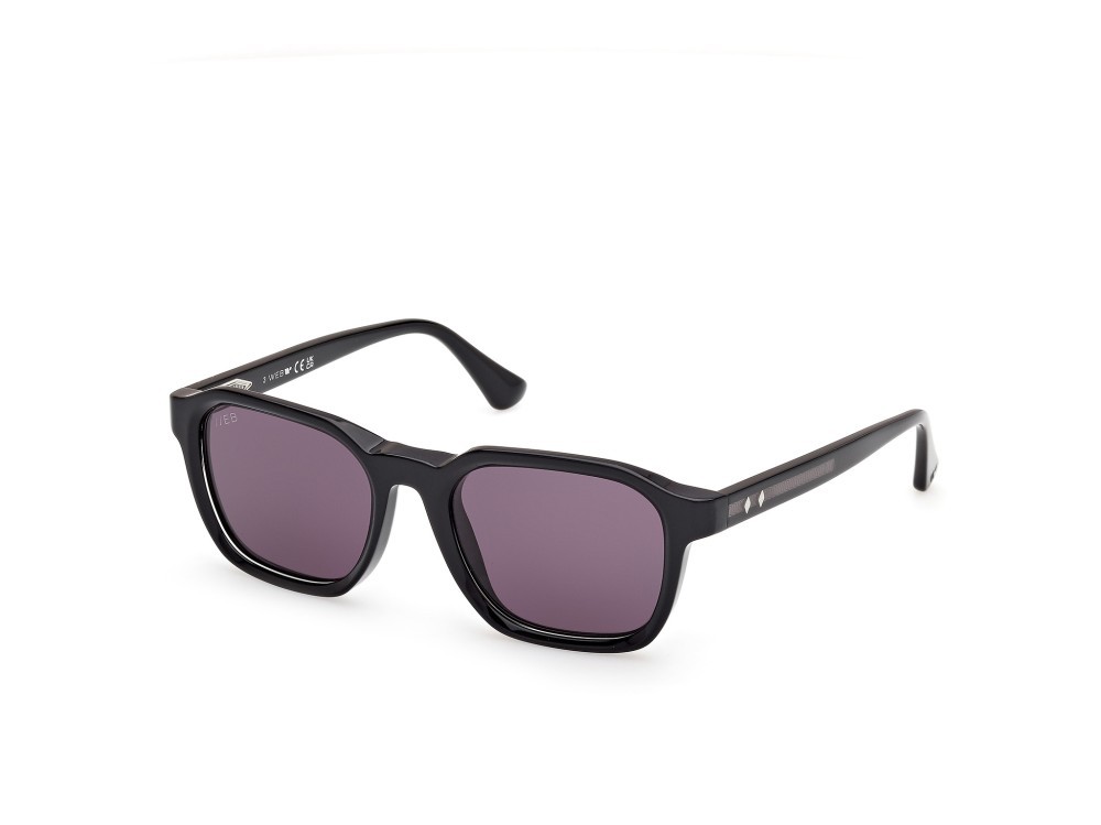 Sunglasses Web WE0385 (05A) color nero monocolore - nero lucido shape square lenses fumo