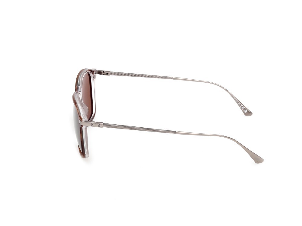 Sunglasses Web WE0386 (56E) color avana monocolore - rutenio chiaro opaco shape rectangle lenses marrone