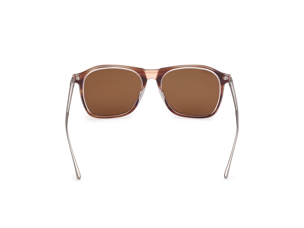 Sunglasses Web WE0386 (56E) color avana monocolore - rutenio chiaro opaco shape rectangle lenses marrone
