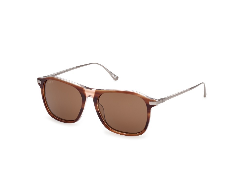 Sunglasses Web WE0386 (56E) color avana monocolore - rutenio chiaro opaco shape rectangle lenses marrone