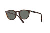 Polo PH 4151 (567371)
