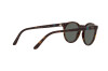 Polo PH 4151 (567371)