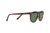 Polo PH 4151 (567371)