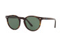 Polo PH 4151 (567371)