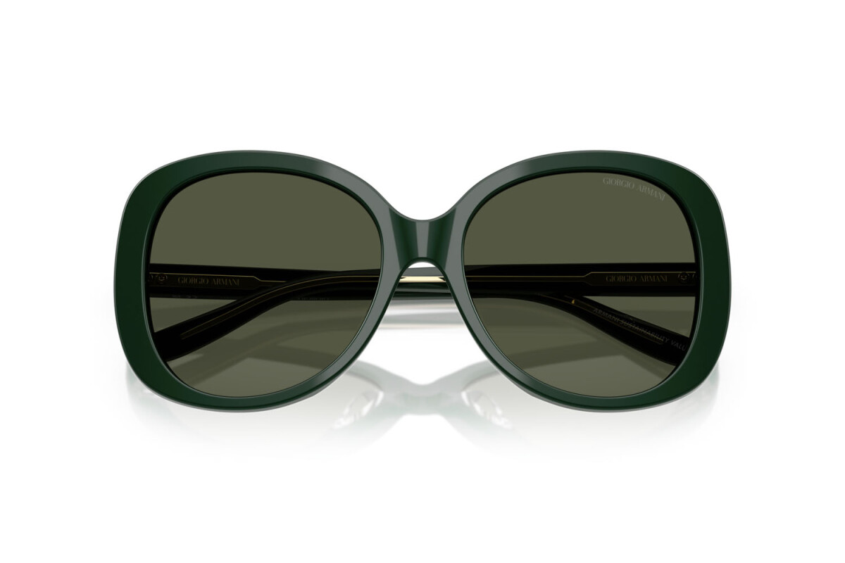 Sunglasses Woman Giorgio Armani  AR 8229U 617331