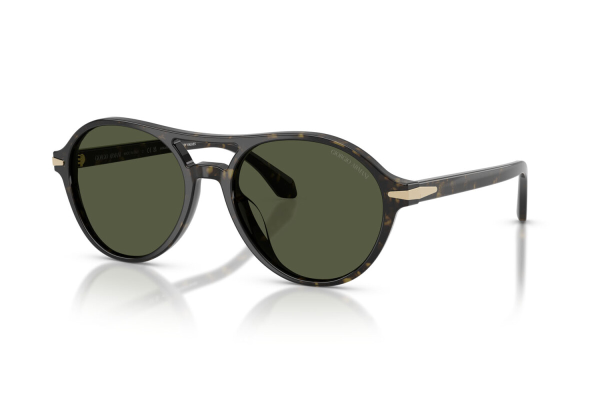Occhiali da Sole Uomo Giorgio Armani  AR 8236U 623352
