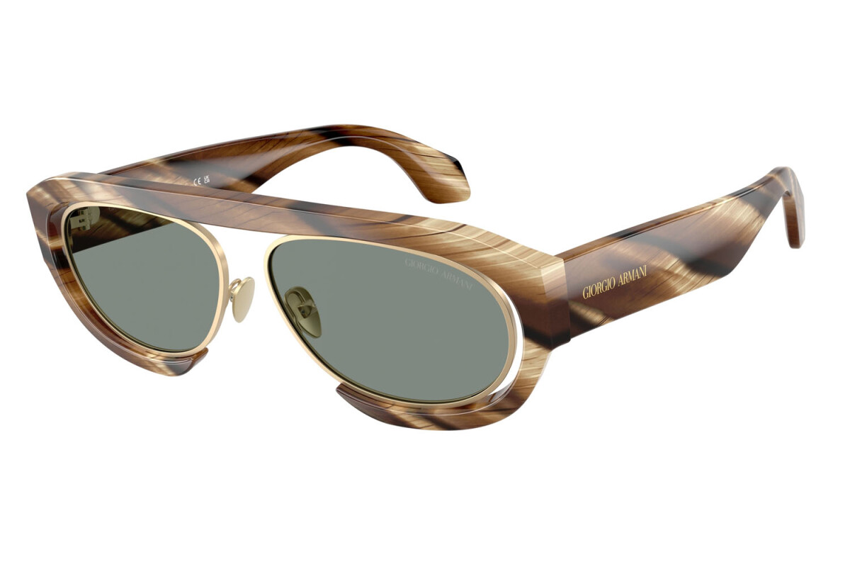 Sunglasses Man Giorgio Armani  AR 8239 6065/1