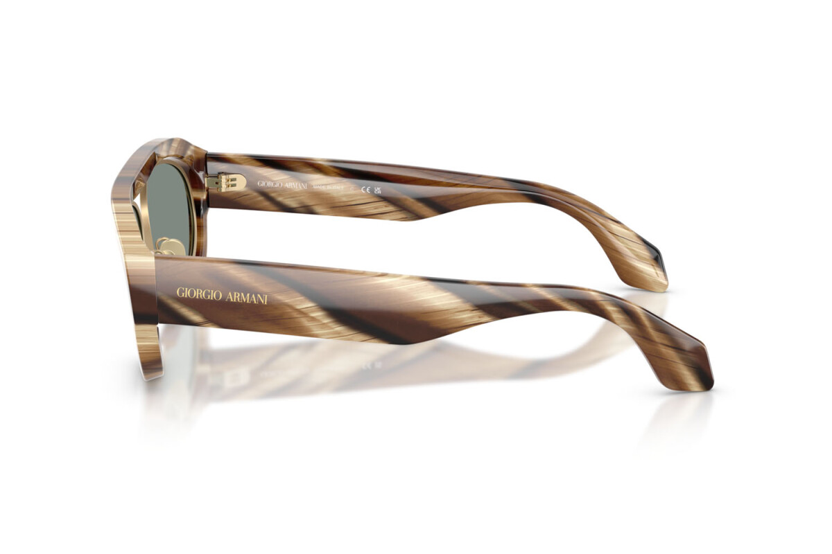Sunglasses Man Giorgio Armani  AR 8239 6065/1