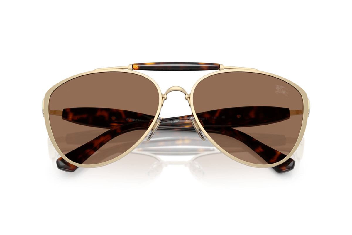 Sunglasses Man Woman Burberry  BE 3160 110973