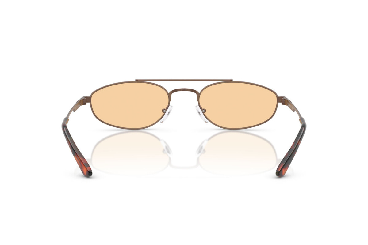 Sunglasses Man Emporio Armani  EA 2157 3006/7