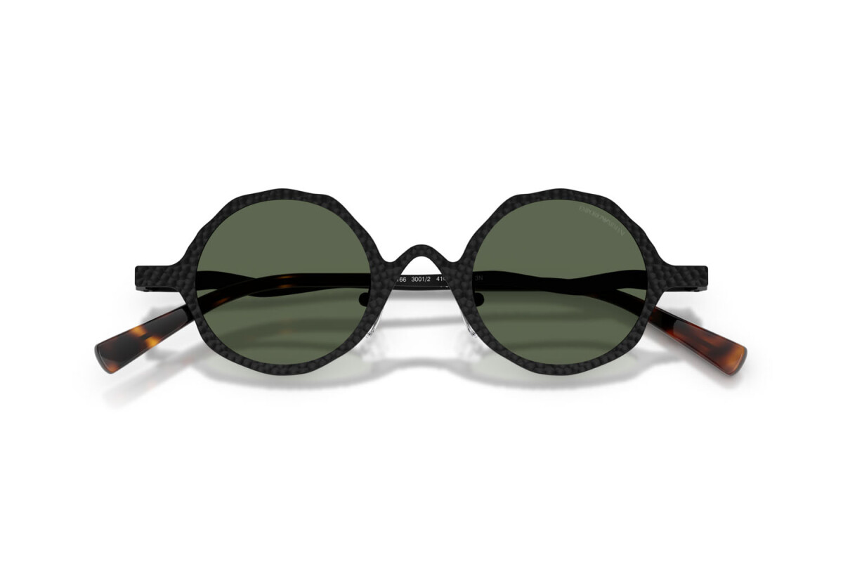 Sunglasses Man Emporio Armani  EA 2166 3001/2