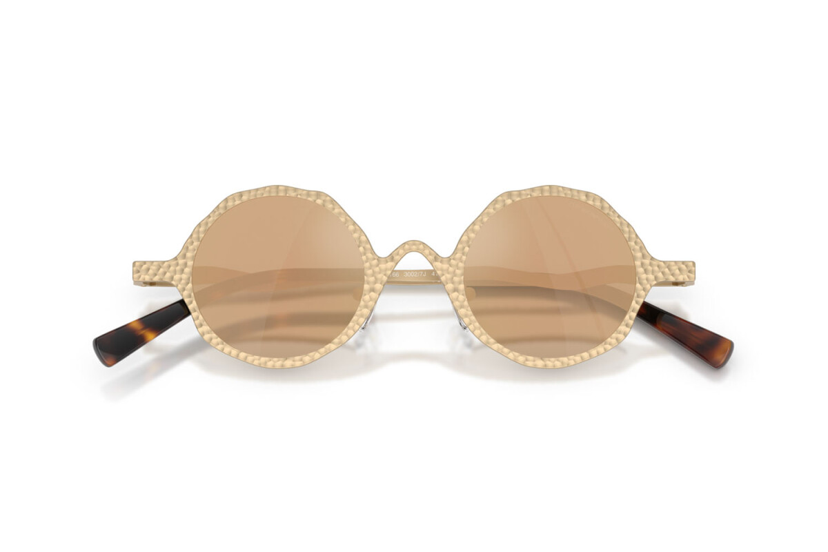Sunglasses Man Emporio Armani  EA 2166 30027J