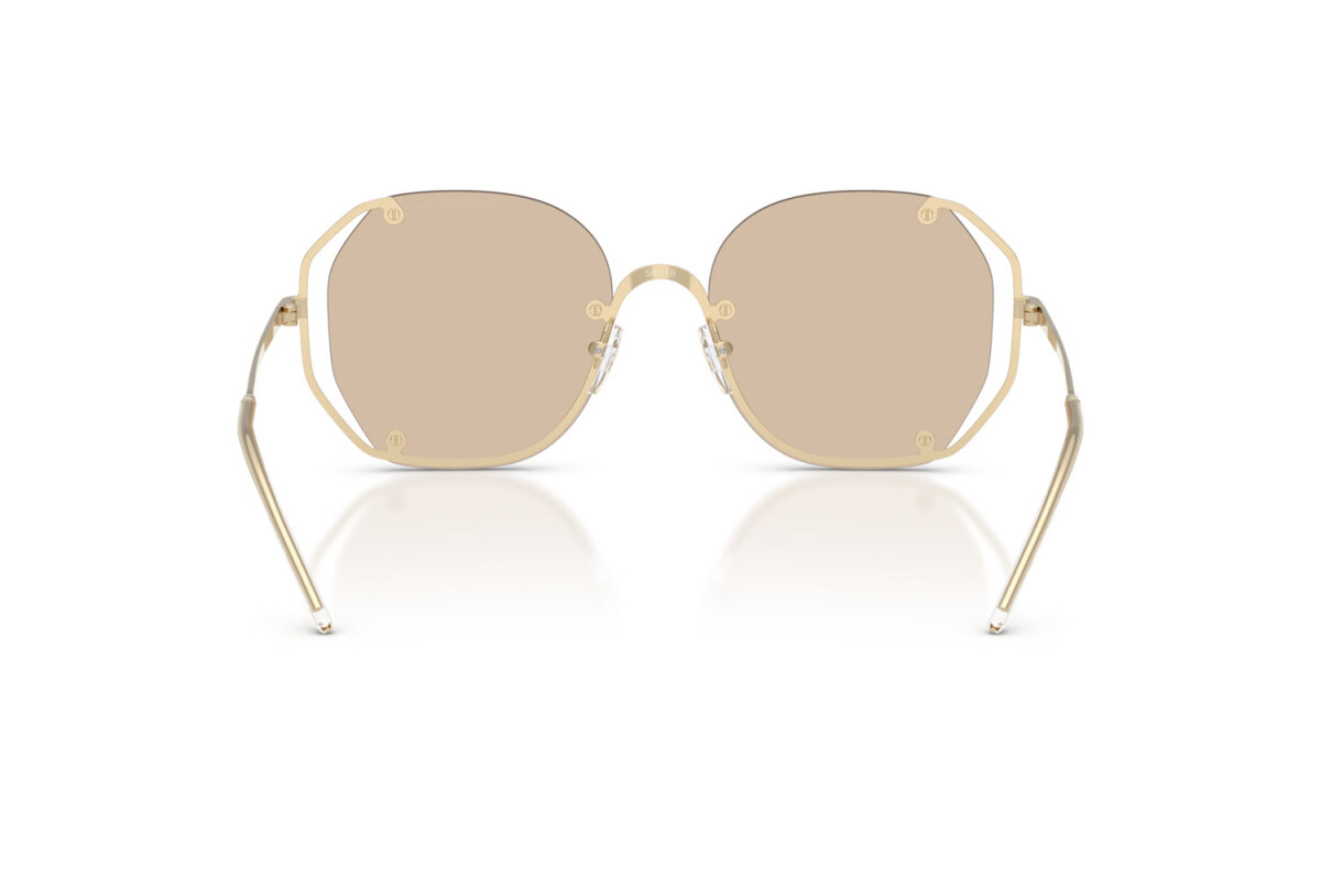 Sunglasses Woman Emporio Armani  EA 2168 301393
