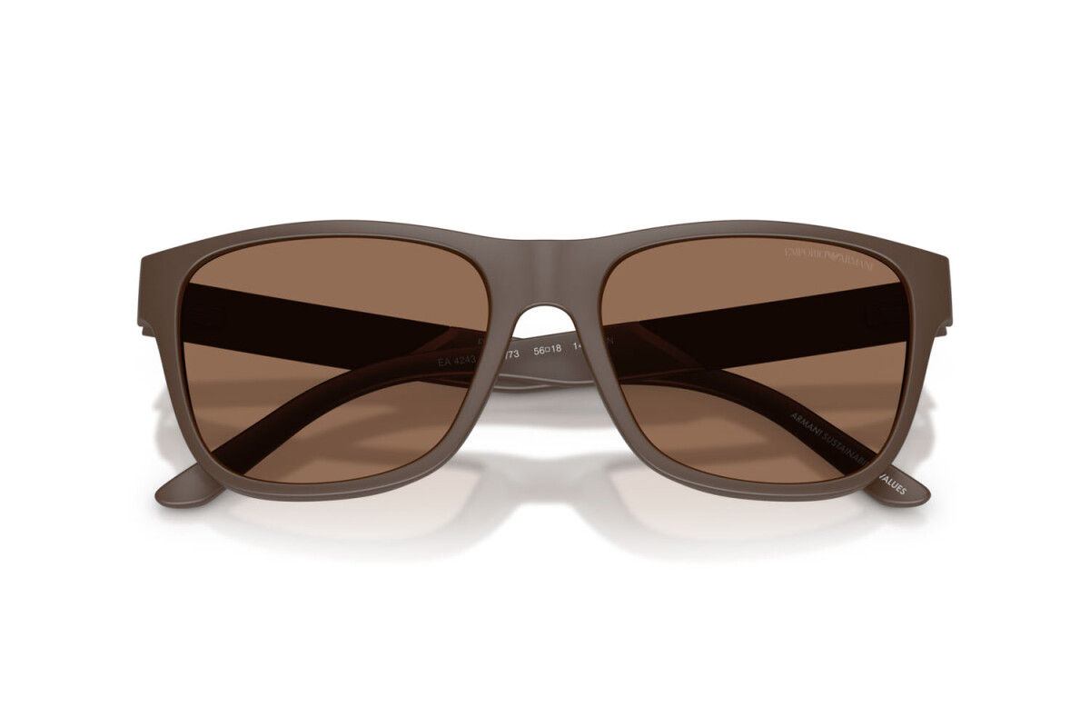 Sunglasses Man Emporio Armani  EA 4243 624373