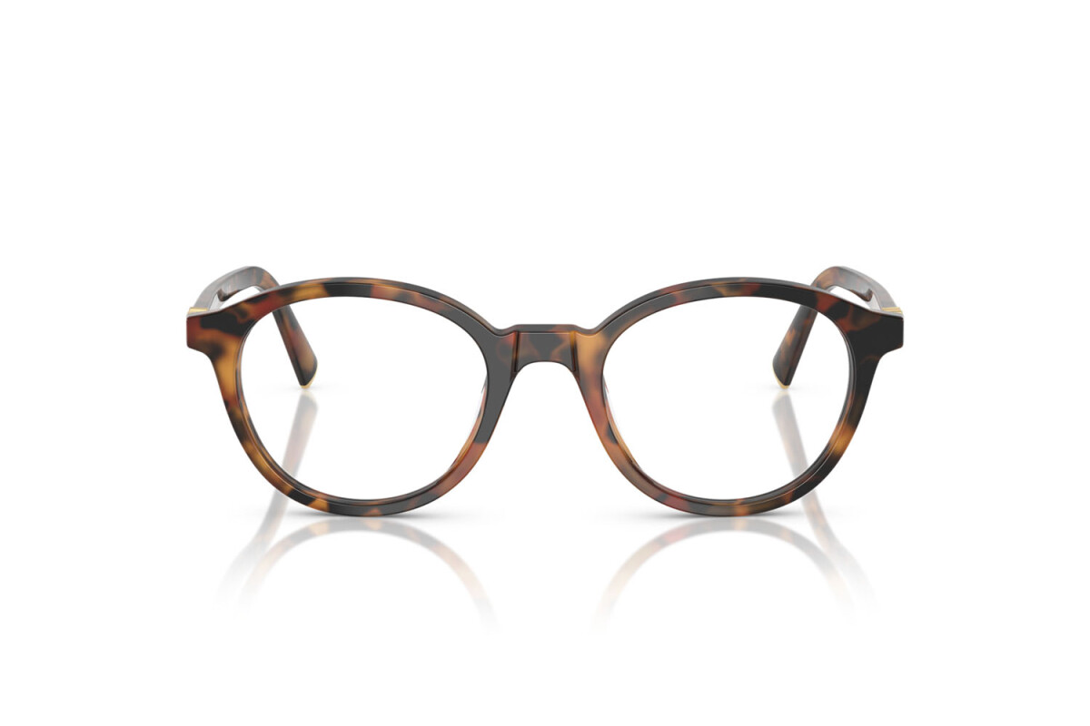 Eyeglasses Woman Miu Miu  MU 02WV 19P1O1