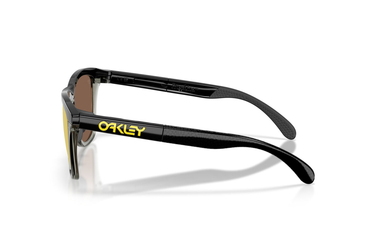 Occhiali da Sole Uomo Oakley Frogskins Range OO 9284 928418