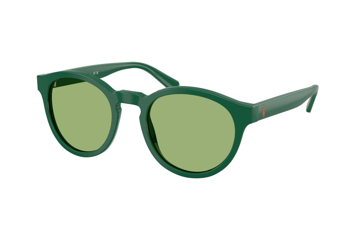 Sunglasses Man Polo Ralph Lauren  PH 4192 6141/2