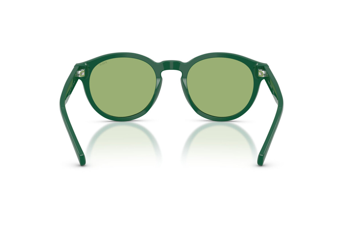 Sunglasses Man Polo Ralph Lauren  PH 4192 6141/2