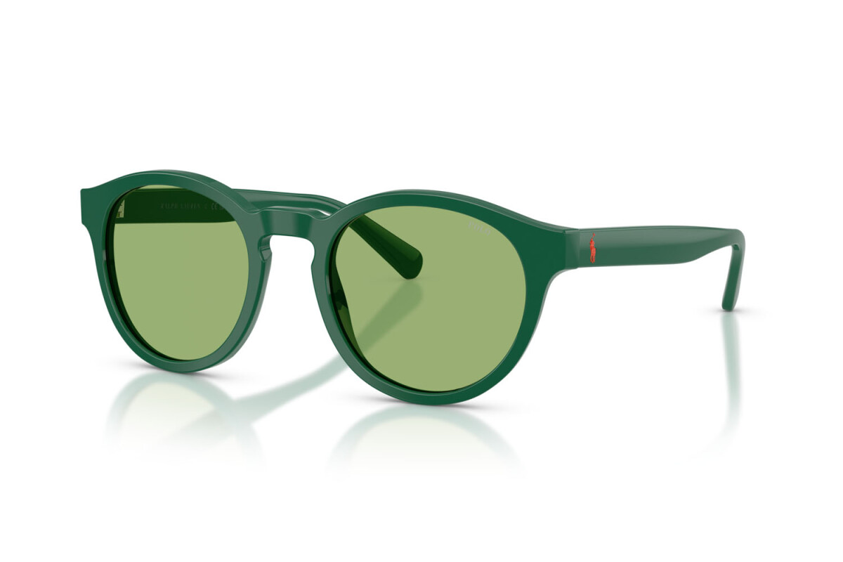 Sunglasses Man Polo Ralph Lauren  PH 4192 6141/2