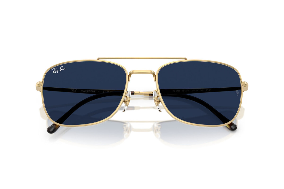 Occhiali da Sole Donna Uomo Ray-Ban  RB 3755 001/GG