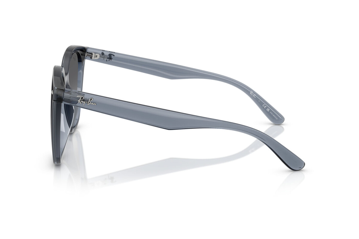 Occhiali da Sole Donna Uomo Ray-Ban  RB 4423D 6592T3