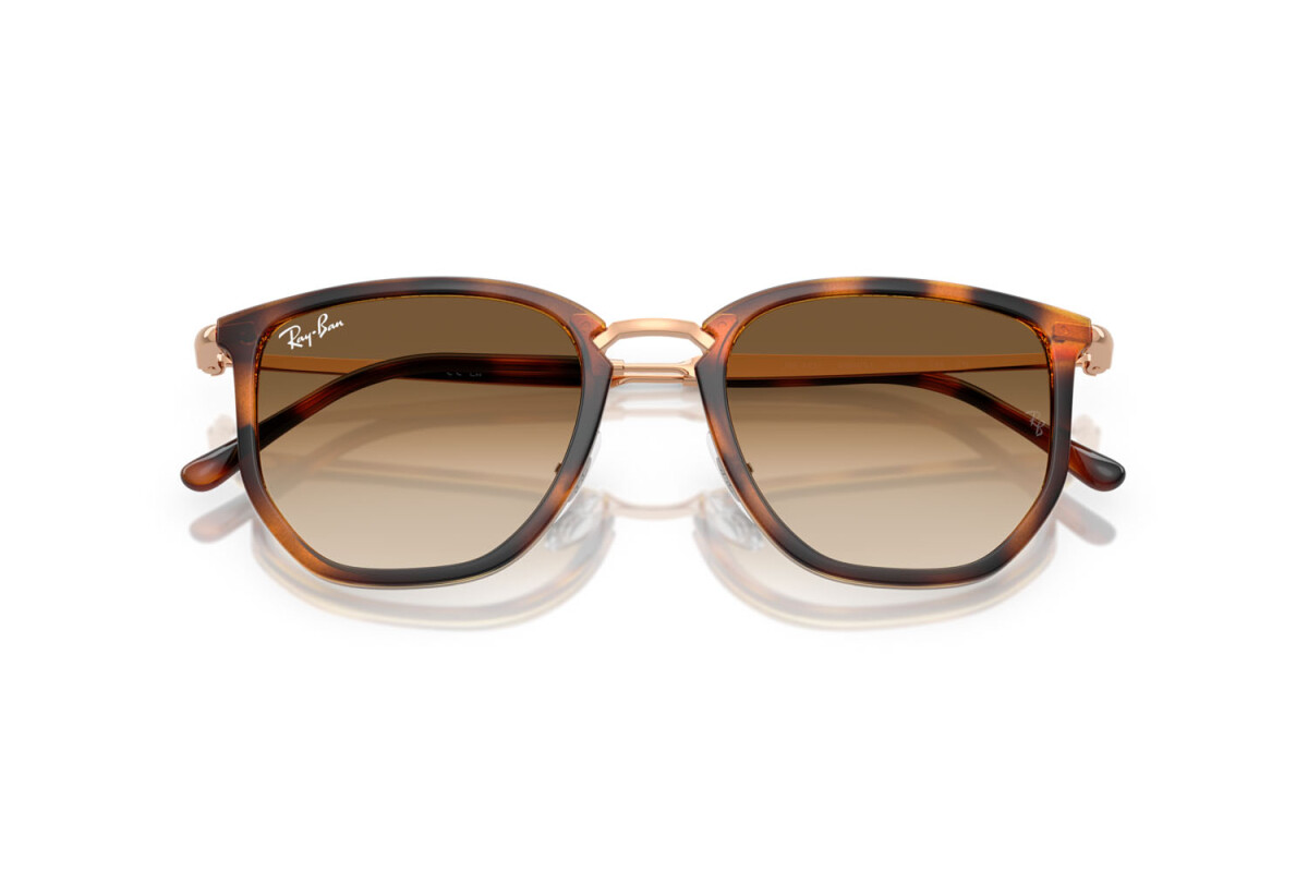 Occhiali da Sole Donna Uomo Ray-Ban  RB 4451 680451