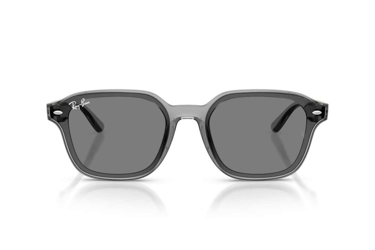 Sunglasses Man Woman Ray-Ban  RB 4458D 645087