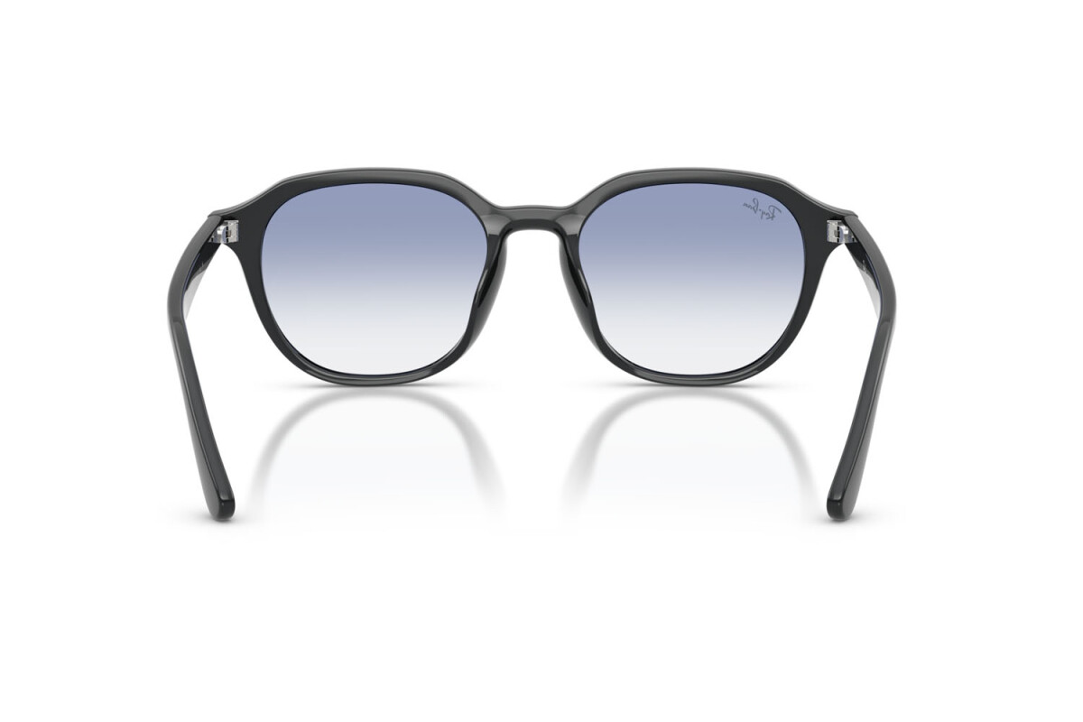 Sunglasses Man Woman Ray-Ban  RB 4459D 623019