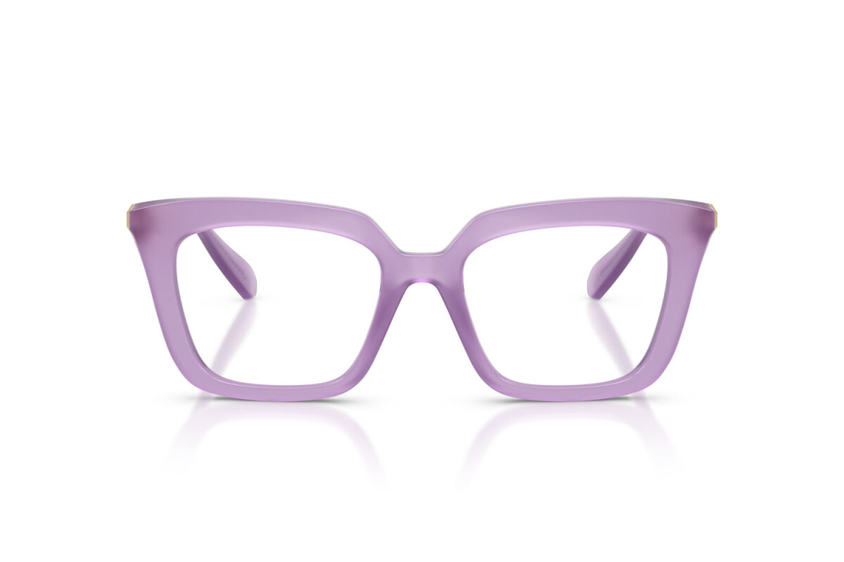 Eyeglasses Woman Swarovski  SK 2043 1075