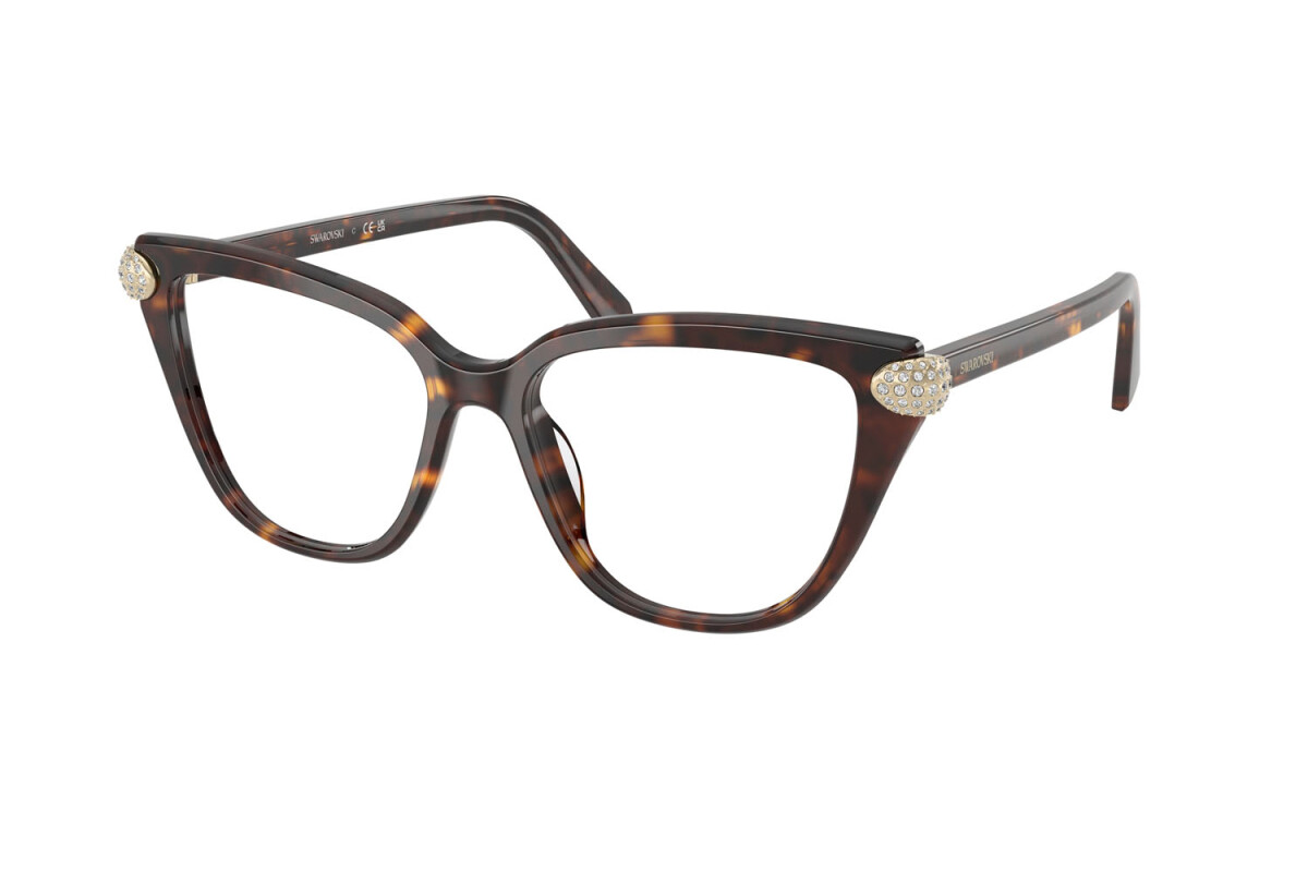 Eyeglasses Woman Swarovski  SK 2045 1002