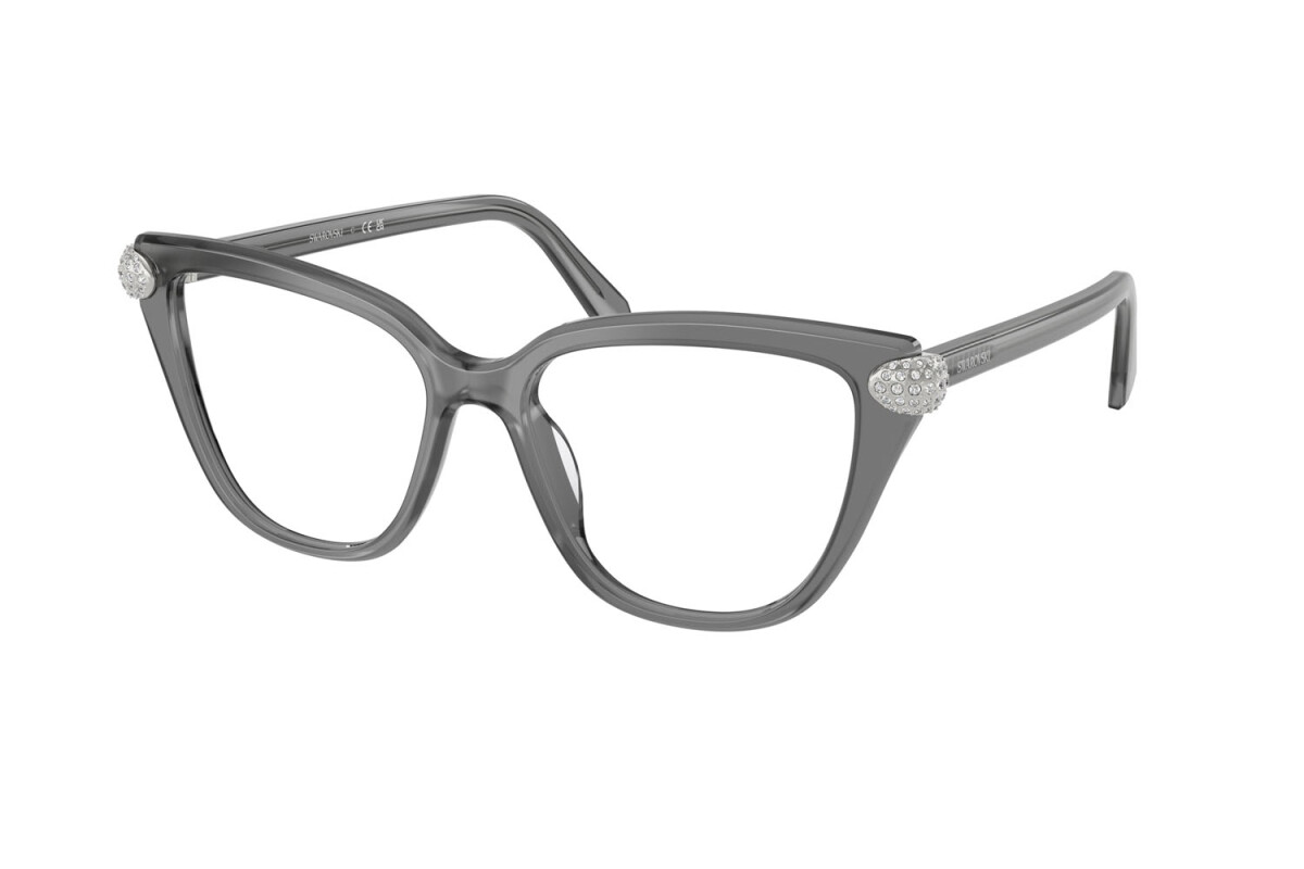 Eyeglasses Woman Swarovski  SK 2045 1072