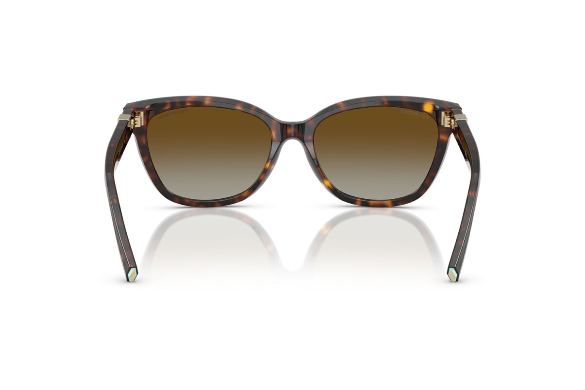 Sunglasses Woman Tiffany  TF 4237B 8015T5