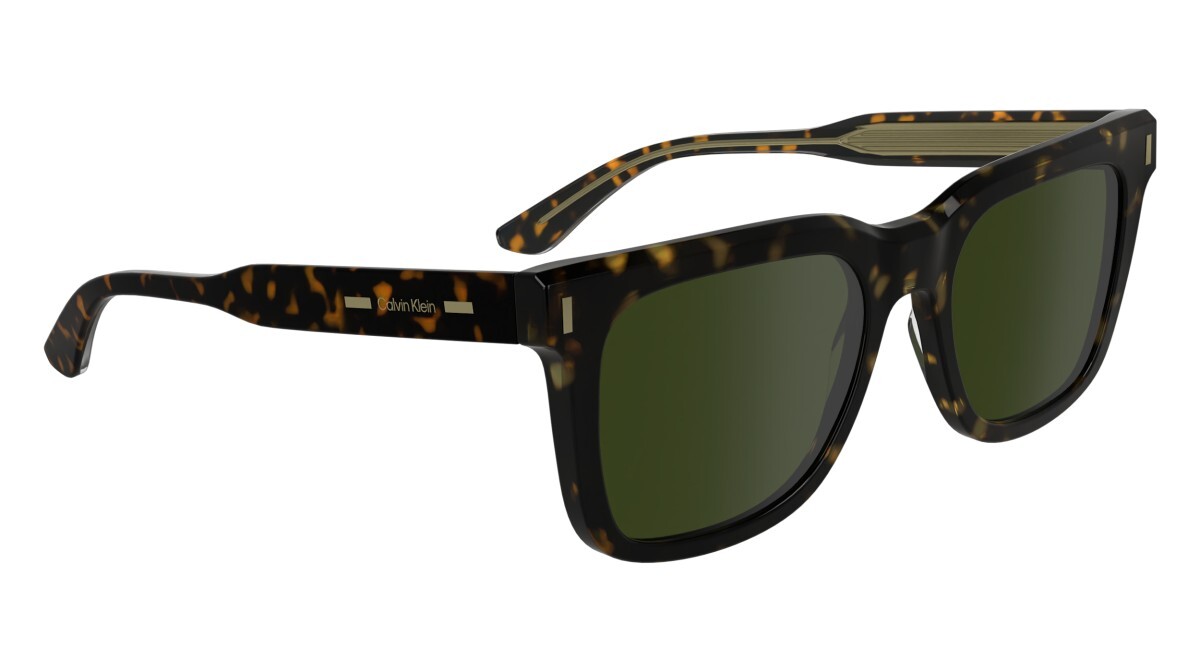 Sunglasses Man Calvin Klein  CK24536S 235