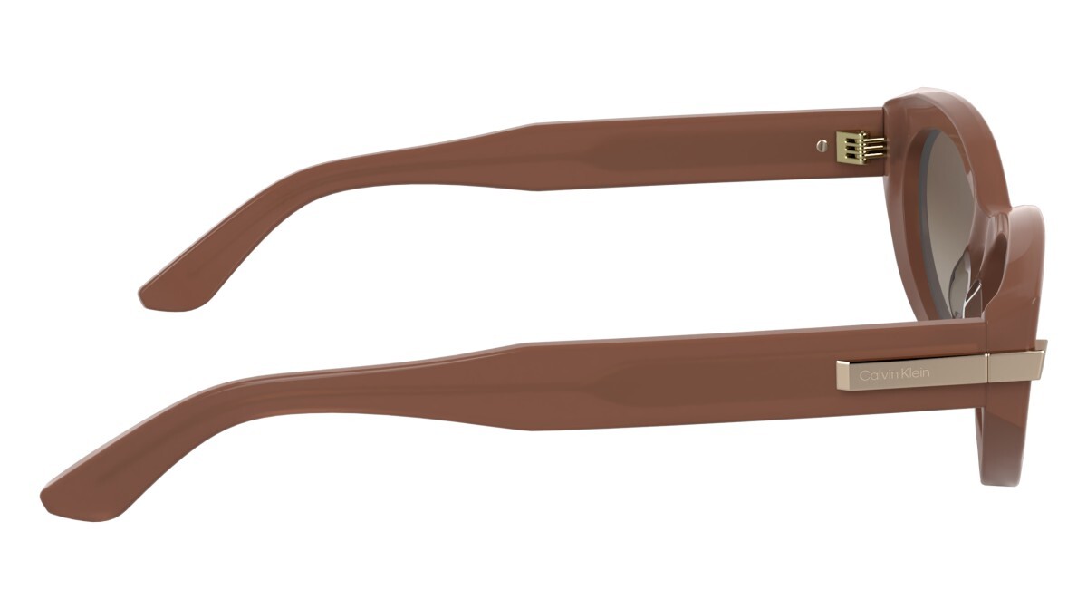 Sunglasses Woman Calvin Klein  CK25502S 601