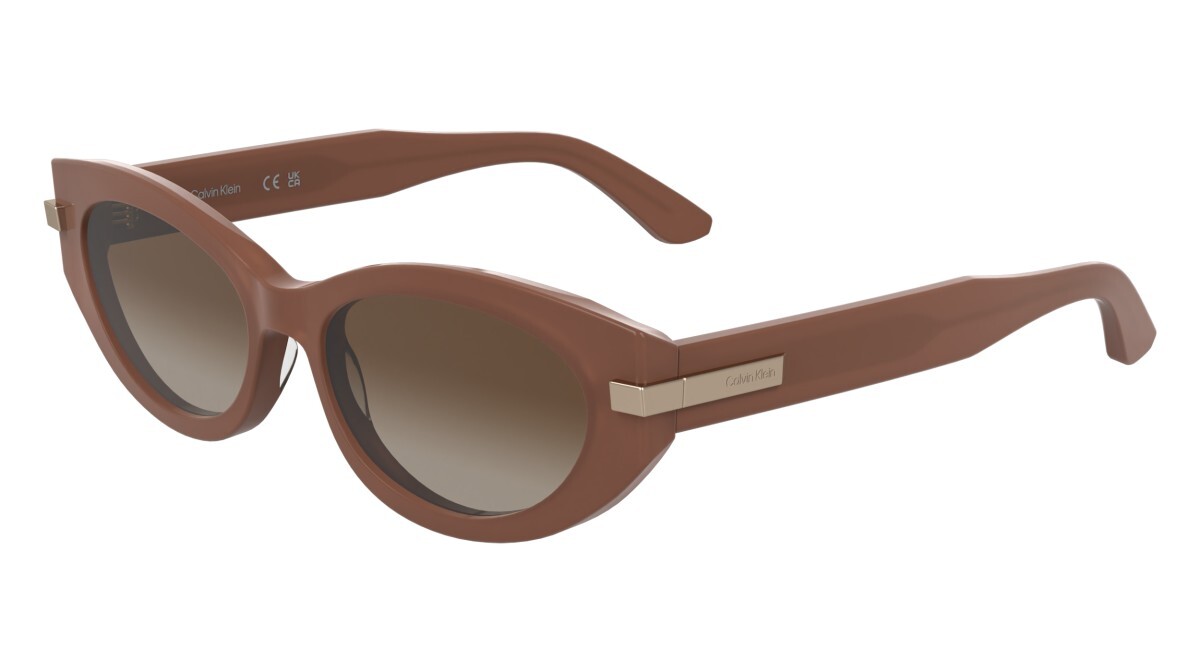 Sunglasses Woman Calvin Klein  CK25502S 601