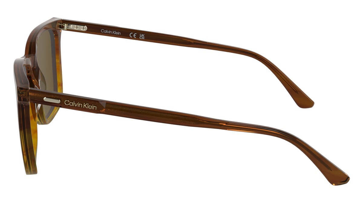 Sunglasses Man Calvin Klein  CK25507S 203