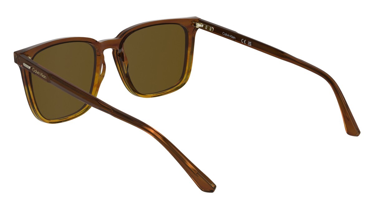 Sunglasses Man Calvin Klein  CK25507S 203