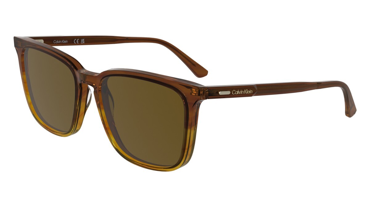 Sunglasses Man Calvin Klein  CK25507S 203