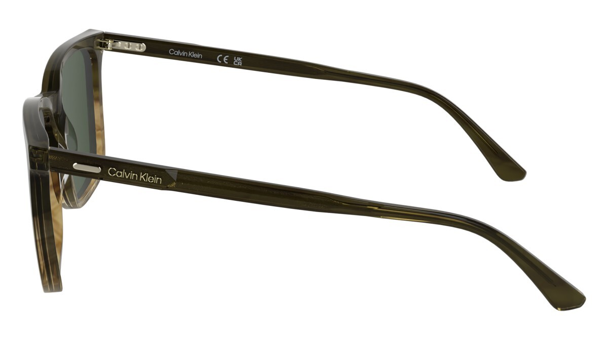Sunglasses Man Calvin Klein  CK25507S 317