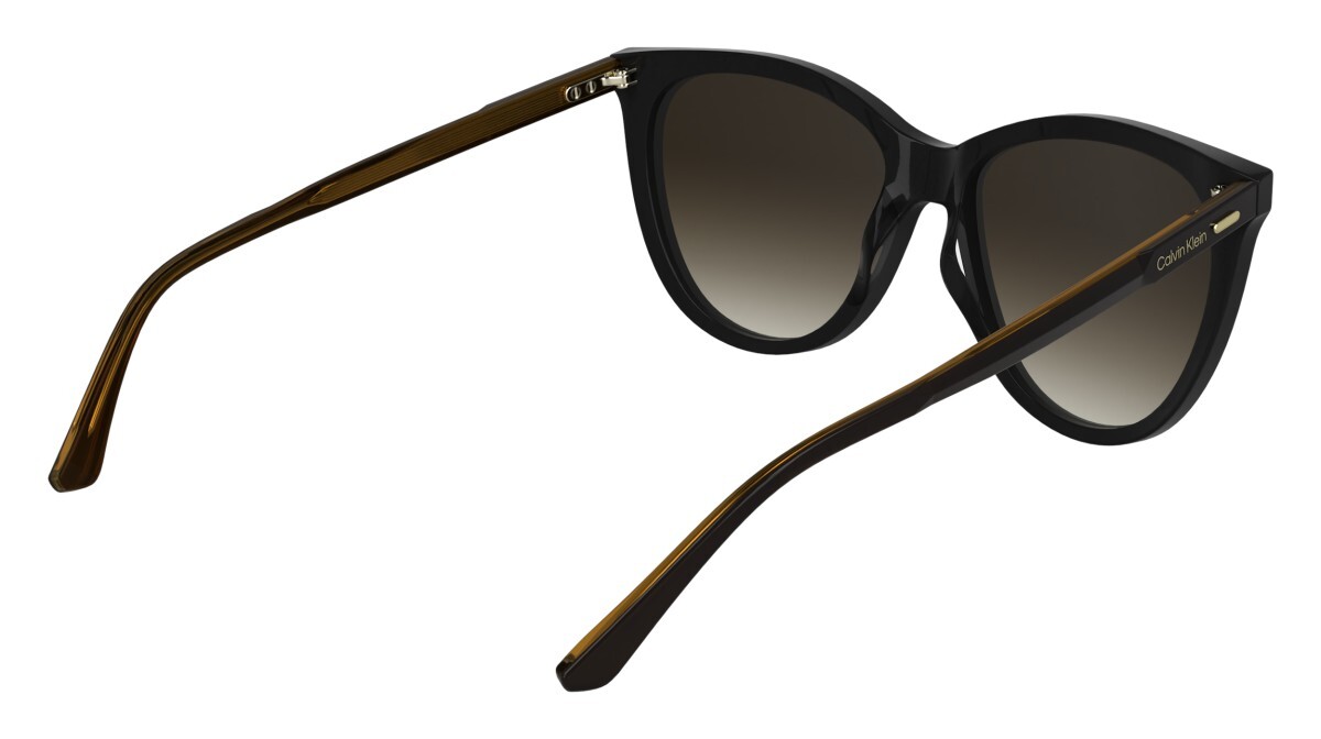 Sunglasses Woman Calvin Klein  CK25508S 001