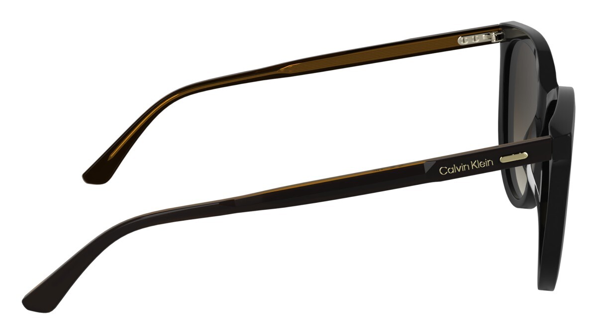 Sunglasses Woman Calvin Klein  CK25508S 001