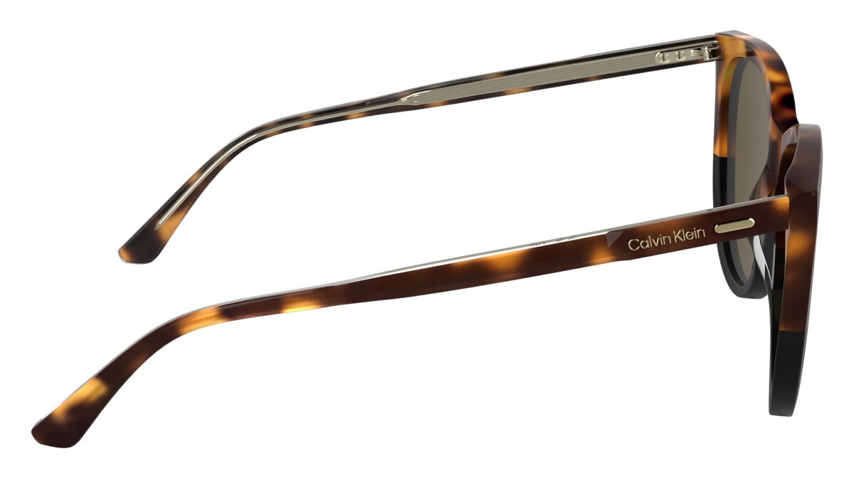 Sunglasses Woman Calvin Klein  CK25508S 233